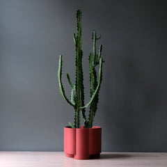 Pillar Planter Decorative Tall Plant Pot Modern Home Decor