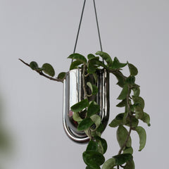 Portico Planter - Chrome