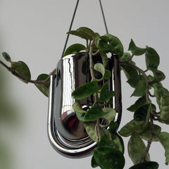 Portico Planter - Chrome