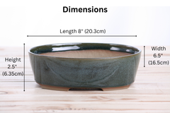Willow Bonsai Ceramics Oval 8 Inch Stoneware Bonsai Planter