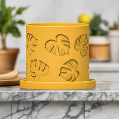 Monstera Leaf Planter