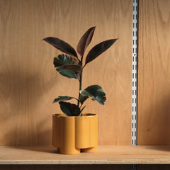 Pillar Planter Decorative Tall Plant Pot Modern Home Decor