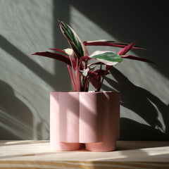 Pillar Planter Decorative Tall Plant Pot Modern Home Decor