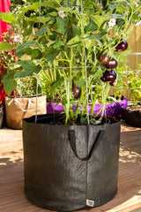 Smart Pot Fabric Planter Reusable Breathable Container for Gardening