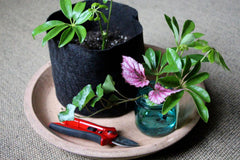 Smart Pot Fabric Planter Reusable Breathable Container for Gardening