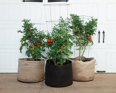 Smart Pot Fabric Planter Reusable Breathable Container for Gardening