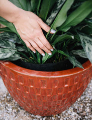 Smart Pot Fabric Planter Reusable Breathable Container for Gardening