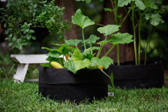 Smart Pot Fabric Planter Reusable Breathable Container for Gardening