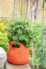 Smart Pot Fabric Planter Reusable Breathable Container for Gardening
