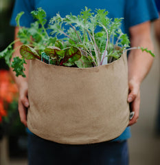 Smart Pot Fabric Planter Reusable Breathable Container for Gardening