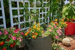 Smart Pot Fabric Planter Reusable Breathable Container for Gardening