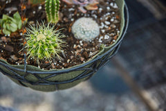 Smart Pot NoCoco Liner Reusable Planter Pot Replacement Liner