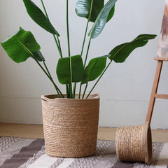 Natural Cylinder Storage and Planter Basket