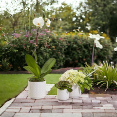 Ceramic Webbing Pattern Planters Embossed Cane Cement Pots